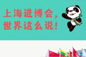 直通进博会 | 上海进博会，世界这么说图片