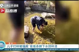 言传身教！儿子不小心打破玻璃瓶 爸爸赤脚下水捞碎渣图片