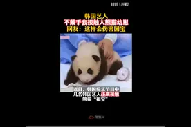 韩女团BlackPink不戴手套摸熊猫幼崽，中国大熊猫研究中心：正调查处理图片