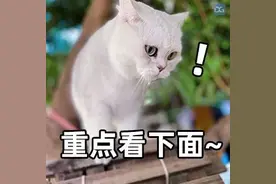 东莞城区这几条旧村要拆除重建！有你家吗图片