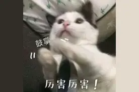 求医问药不知何处去？这个新选择，必须赶紧码住图片