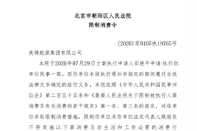 美锦能源谋划千亿氢能布局 背后美锦集团被发限制消费令后撤销图片