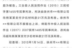 绵阳中院泼墨事件调查结果公布：泼墨者所反映的问题不成立图片