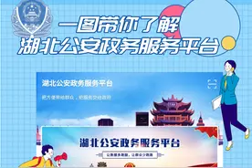 一张图带你了解湖北公安政务服务平台图片