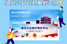 一张图带你了解湖北公安政务服务平台图片