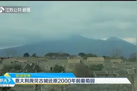 意大利庞贝古城2000年前葡萄园被重建，古代葡萄种植技术被解密视频封面