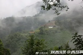 紫阳七旬夫妻家在仙境里，种3亩地养20只鸡，生活无忧图片