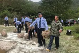 返还被盗生猪56头，兴业警方成功侦破系列盗窃生猪案图片