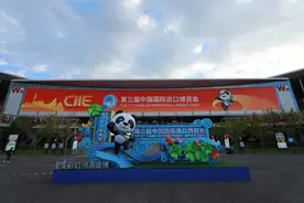 IQAir空气净化整体解决方案亮相中国国际进口博览会图片