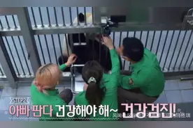韩国女团BLACKPINK不戴口罩手套摸熊猫，中国网友怒了图片