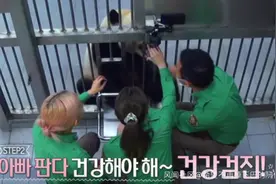 韩国女团BLACKPINK不戴口罩手套摸熊猫，中国网友怒了图片
