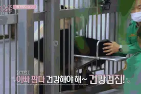 BLACKPINK官方回应“摸熊猫”事件，网友并不买账图片