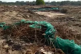 今日聚焦丨防尘网老化一捏就碎，济南新旧动能转换先行区闲置地块防尘网谁来维护？图片