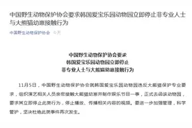 中国野生动物保护协会要求韩国爱宝乐园动物园立即停止非专业人士与大熊猫幼崽接触行为图片