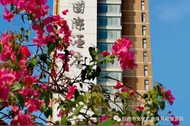 蚝情节，来钦州，住哪里？看这篇推文就够啦！（二）图片