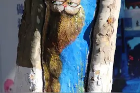 可可爱爱！南京行道树画动物彩绘创可贴图片