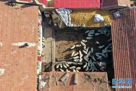 羊倌任建成：独腿“奔跑”在脱贫致富路上图片