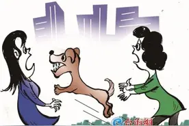 女子逗狗被咬伤，谁担责？一起索赔案在厦发布图片
