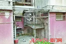 小区内养鸽子居民深受其扰 城管部门已责令养鸽人限期整改图片