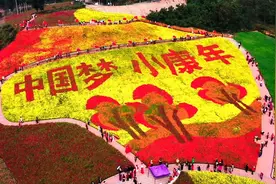 原创MV | 青春恰时来图片