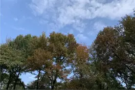 株洲一市民真在鸡蛋里挑出了“骨头”；大爷骑电动车撞上保时捷，当场豪横转账1万5千元｜早安湖南图片