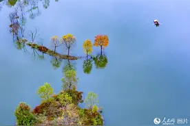 湖北罗田：水上红叶图片