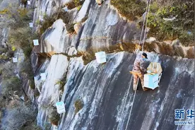 又是一年采蜜季 小蜜蜂助力北京密云脱贫攻坚图片