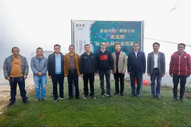 参苓健脾胃颗粒白扁豆、茯苓道地药材标准化种植示范基地挂牌图片