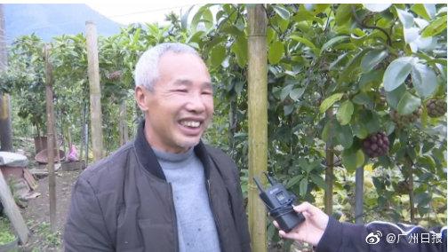 这种水果你见过吃过吗？广东老伯试种六年成功种出“黑老虎”