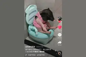 “你吸宠了没？”来自年轻人的新问候图片