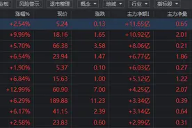 千亿面板龙头，政策加持利好不断，为何涨不起来？图片