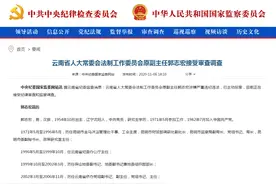 曾任省纪委副书记，云南一干部退休3年后主动投案图片