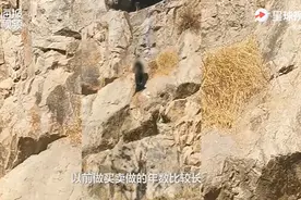 山洞内隐居8年小伙发声：病情缓解不少，用打工赚的钱做好事图片