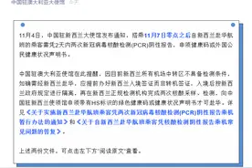 中国驻澳大利亚大使馆提醒：自澳大利亚经新西兰中转赴华乘客需做好相关准备图片
