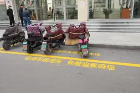 山东平阴推出“规范停放电动自行车被盗保险”，最高赔偿千元图片