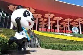 联通中国和世界！进博会上的陆家嘴元素图片