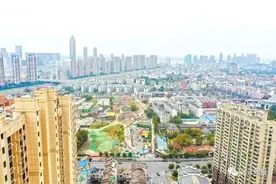 「儒林街」只有老芜湖 才听得懂的几句话图片
