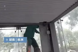 5分钟徒手攀爬13米！恐高医生：我都佩服我自己图片