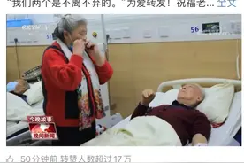 神仙爱情！17万网友秒变“柠檬精”图片