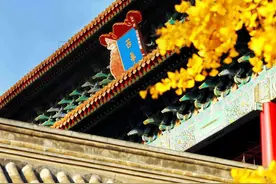 碧云天，黄叶地，打开手机“去”故宫看银杏图片