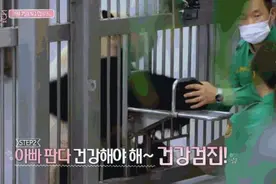 BLACKPINK官方回应“摸熊猫”事件，网友并不买账图片
