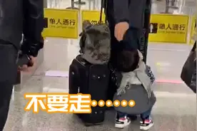 不要走！当兵爸爸将归队 被3岁儿子紧紧抱住小腿图片