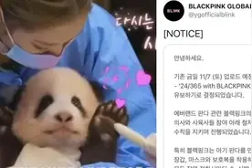 BLACKPINK方回应接触熊猫：按专业人士指导防疫严格视频封面