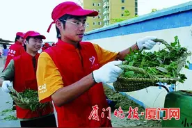 讲述全国文明城市创建的采访故事 厦门记者感言"既是参与者也是受益者"图片