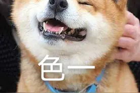 动看进博丨睡在“鞋垫”上是种怎样的体验？超多有趣互动带你探寻“舒适”的秘密图片