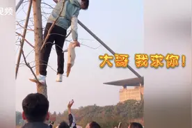猫咪被困树上紧抱施救男生大腿，瑟瑟发抖坚决不撒爪，网友：真怂上加怂！视频封面