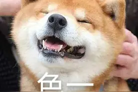 动看进博丨睡在“鞋垫”上是种怎样的体验？超多有趣互动带你探寻“舒适”的秘密图片