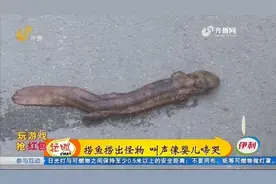 菏泽大爷河里捞出怪物，长70多公分叫声像婴儿啼哭，村民：没见过视频封面