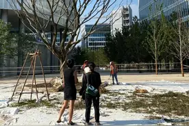 生长了8年的“苹果”终于落地，李琳很早就埋下了它的种子图片