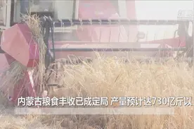 内蒙古粮食丰收已成定局 产量预计达730亿斤以上视频封面